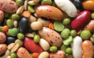 Бессмертная еда: продукты, у которых нет срока годности