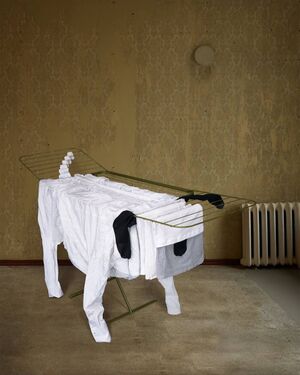 Бытовой сюрреализм