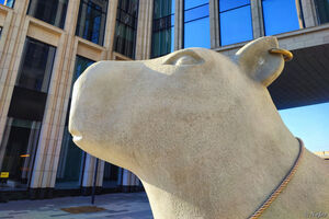 Капипара Т-банка сидит на улице Грузинский вал