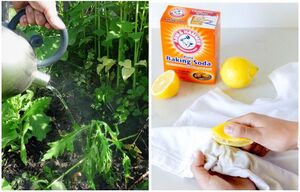 14 лайфхаков столетней давности, которые работают и по сей день