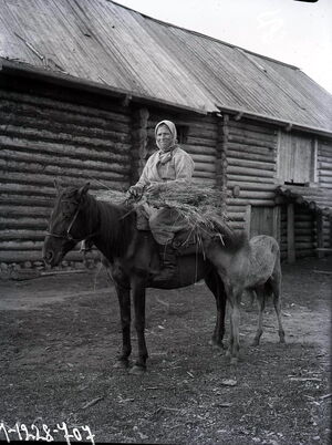 1927. Карелы Автономной Карельской республики на снимках Александра Антоновича Беликова. Часть 6