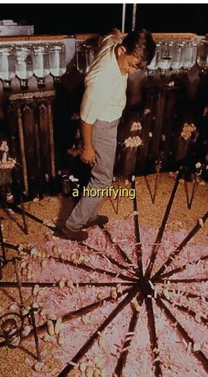 Учёный, который попытался создать рай — и стал свидетелем его гибели