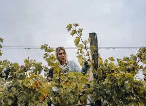 Что нужно успеть сделать на даче до начала сезона