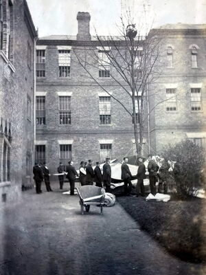 «Зато я спас кота...»