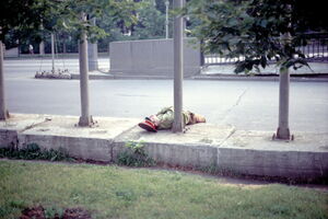 1981. Питер Хессель в Москве