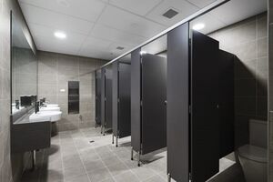 7 причин, почему в общественных туалетах дверь не достает до пола