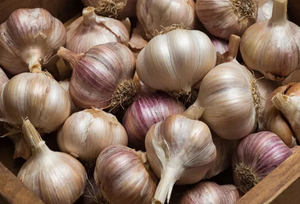 Чеснок: простой продукт с мощным эффектом для здоровья сердца