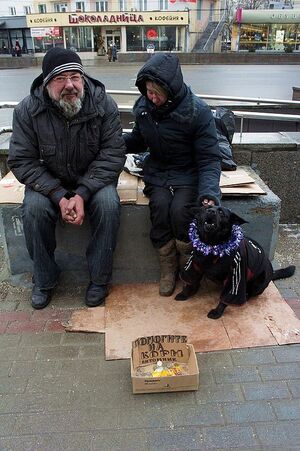 10-е годы XXI века на снимках Игоря Стомахина. 2013. «Москва в январе». Часть 3
