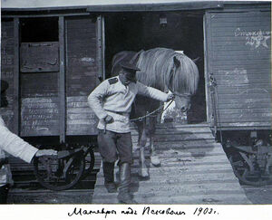 1903. Лейб-гвардии Московский полк на манёврах под Псковом