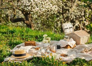 Как подготовиться, что закупить и чем занять всех на майские