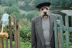 «Собачья жизнь» (проект Павла Мелешкина)