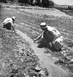 Фотографии Роберта Капы. Часть 18