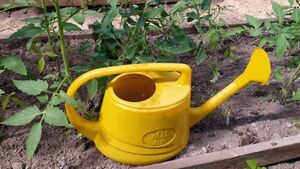 1 ст. л. на 10 л воды. Готовлю первую подкормку для томатов, чтобы они быстрее пошли в рост и начали активно цвести.