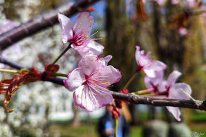 Погода нынче бьет рекорды, сохраню для истории