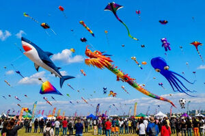 Акула, Бэтмен и робособака поднялись в небо на фестивале в Китае