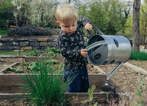 Что сделать на даче в майские праздники