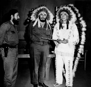 «А под вечер все индейцы соберутся у стола, Заколотят трубку мира — прояснится голова...»