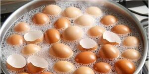 Больше не выбрасываю! Кипячу яичную скорлупу и решаю сразу кучу проблем.