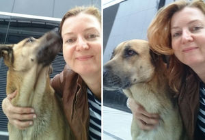 Стюардесса приняла бездомную собаку, которая верно ждала ее у отеля!