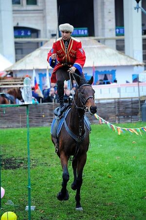 10-е годы XXI века на снимках Игоря Стомахина. 2012. «2-й Международный фестиваль «Казачья станица М