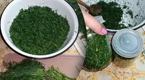 После этого рецепта мой укроп буквально пропадает с полок холодильника!