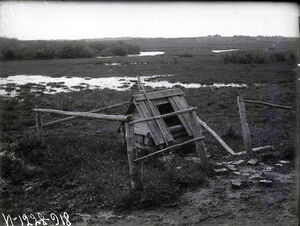 1927. Финны Ленинградской губернии на снимках Александра Антоновича Беликова. Часть 2