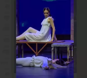 Кот "переписал" финал пьесы Шекспира в балете "Ромео и Джульетта" 