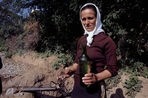 Албания в 1964