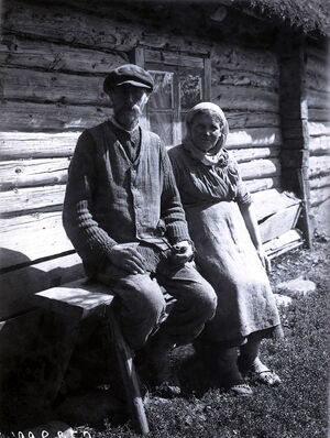 1927. Эсты Ленинградской губернии на снимках Александра Антоновича Беликова