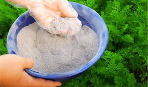 Посыпаю междурядья моркови этой смесью — благодаря ей морковь растёт крепкой, сладкой, хрустящей и без червячков