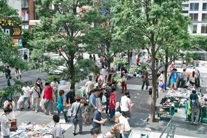 Метод, который за ночь очистит грязные и серые кухонные полотенца