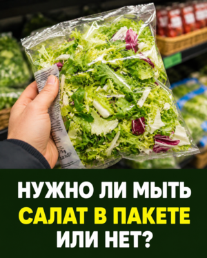 Риск листериоза в пакетированных салатах: что важно знать и как распознать опасность — мнение эксперта
