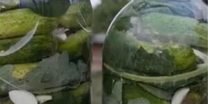 Почему квашеные огурцы становятся мягкими: пять ошибок, которые часто совершают хозяйки