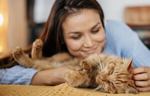 Люди, которые любят кошек, обладают этими особыми чертами характера