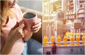 8 внезапных фактов о кофе, который продвигает рынок газировки и финансирует олимпийцев
