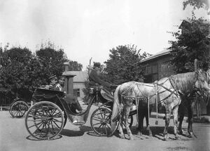 1890-е. Посещение иностранной делегацией Красносельских летних сборов под Санкт-Петербургом. Часть 3