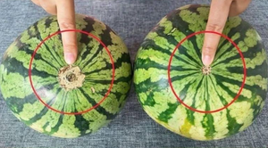 Больше никаких безвкусных арбузов! 