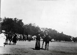 1904-1905. Альбом П.П. Скоропадского. Часть 17