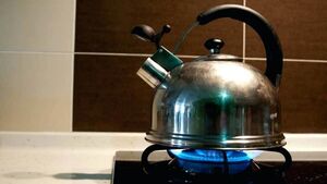 Накипь в чайнике — распространённая проблема, но не для меня: простое действие помогает решить её без лишних усилий