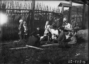 1886-1893. Крестьяне Новгородской губернии на снимках Ильи Федоровича Тюменева 