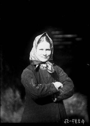 1886-1893. Крестьяне Новгородской губернии на снимках Ильи Федоровича Тюменева. Часть 2