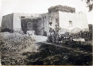1928-1929. Узбеки на снимках Александра Лаврентьевича Мелкова. Часть 2