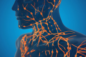Увеличились лимфоузлы: почему это происходит и когда нужно обратиться к врачу