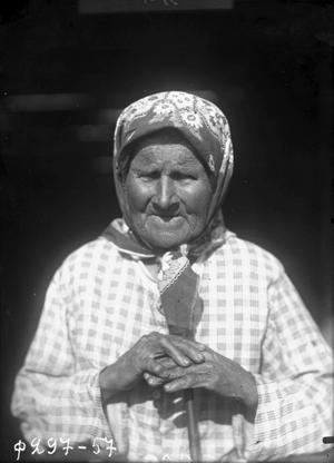 1886-1893. Крестьяне Новгородской губернии на снимках Ильи Федоровича Тюменева. Часть 3