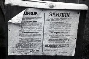 Германия в 1940-1945. «Коллаборационизм». Часть 14