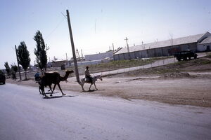 1968. Американец в Бухаре