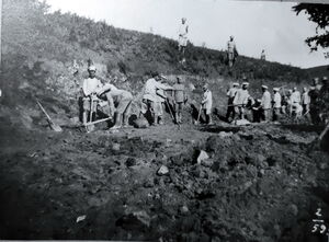 1904-1905. Альбом П.П. Скоропадского. Часть 24