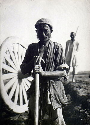 1928-1929. Каракалпаки на снимках Александра Лаврентьевича Мелкова. Часть 2
