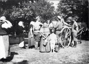 1916-1917. Фотоальбом метеоролога. Часть 2