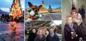 Потрясающий город – зимний Брашов. Записки путешественников